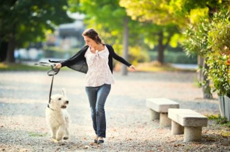 Workout with Your Dog
